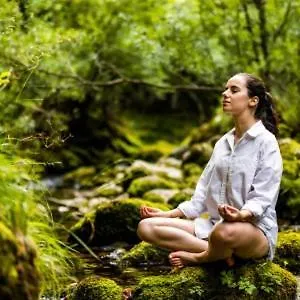 Hébergement de vacances Tauberchalet I Private Mit Sauna & Whirlpool I I 10 Min Zur Altstadt Rothenburg ob der Tauber