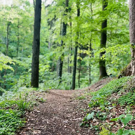 Hébergement de vacances Tauberchalet I Private Mit Sauna & Whirlpool I I 10 Min Zur Altstadt Rothenburg ob der Tauber